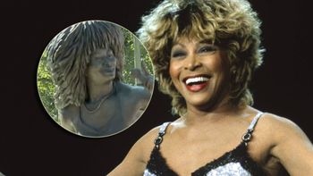 Tina Turner ma swój własny pomnik. W mig wywołał falę oburzenia: "ODDAJCIE pieniądze darczyńcom"