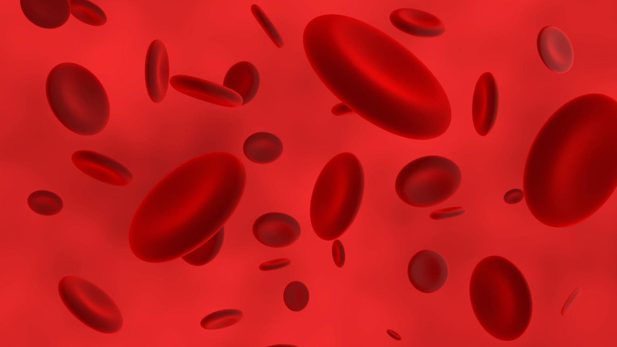 RDW CV oznacza występowanie różnić w wielkości czerwonych krwinek.