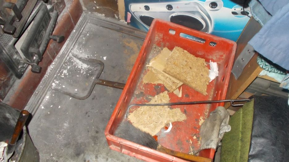 Straż Miejska kontroluje piece i wlepia mandaty (źródło: UM Miasta Legnica)