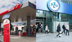 Spółka PZU i Orlen do zakupu usług marketingowych nie wynegocjuje niższych cen, zbyt mała skala działania (opinie)