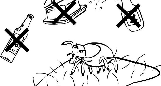 „Nie bądź kozak, pęseta albo kontakt z lekarzem” w kampanii Głównego Inspektoratu Sanitarnego nt. kleszczy (wideo)