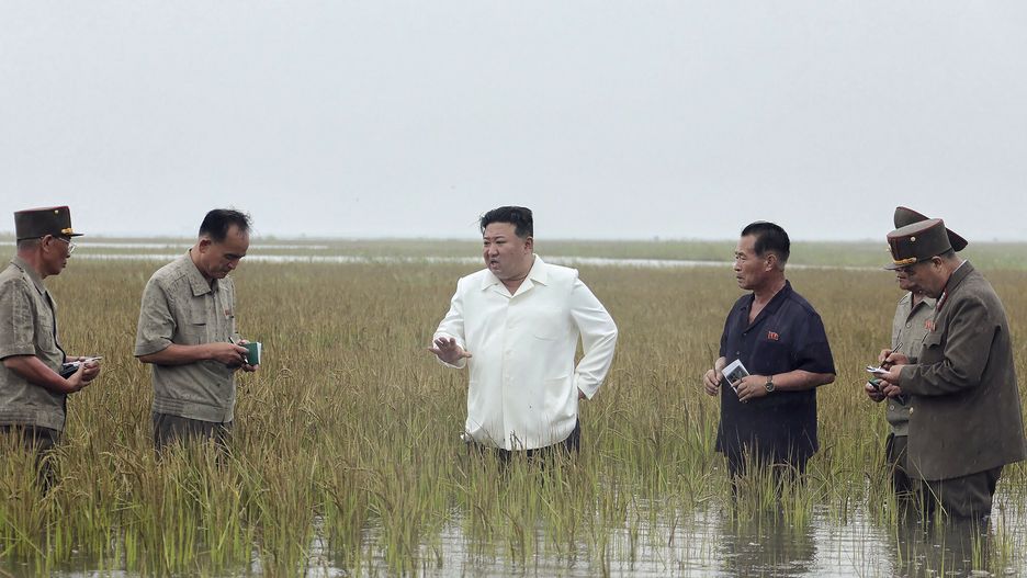 Kim Dzong Un przeprowadza inspekcję na zalanych polach ryżowych. Na winnych powodzi posypia się kary
