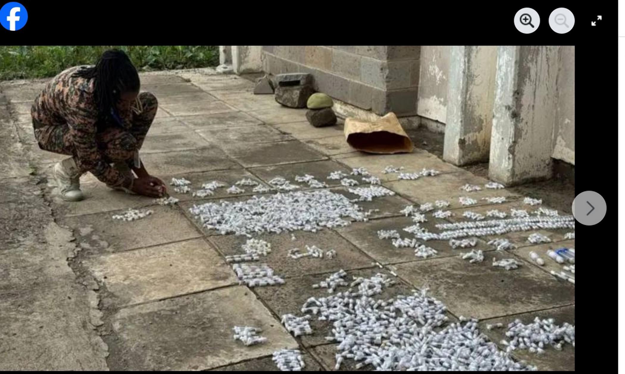 W połowie kwietnia Kenijska Służba ds. Dzikiej Przyrody (KWS) udaremniła przemyt setek mrówek z gatunku Messor cephalotes, fot. Facebook African Report files