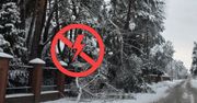Włocławek: Michelin bez prądu. Mokry śnieg sparaliżował osiedle