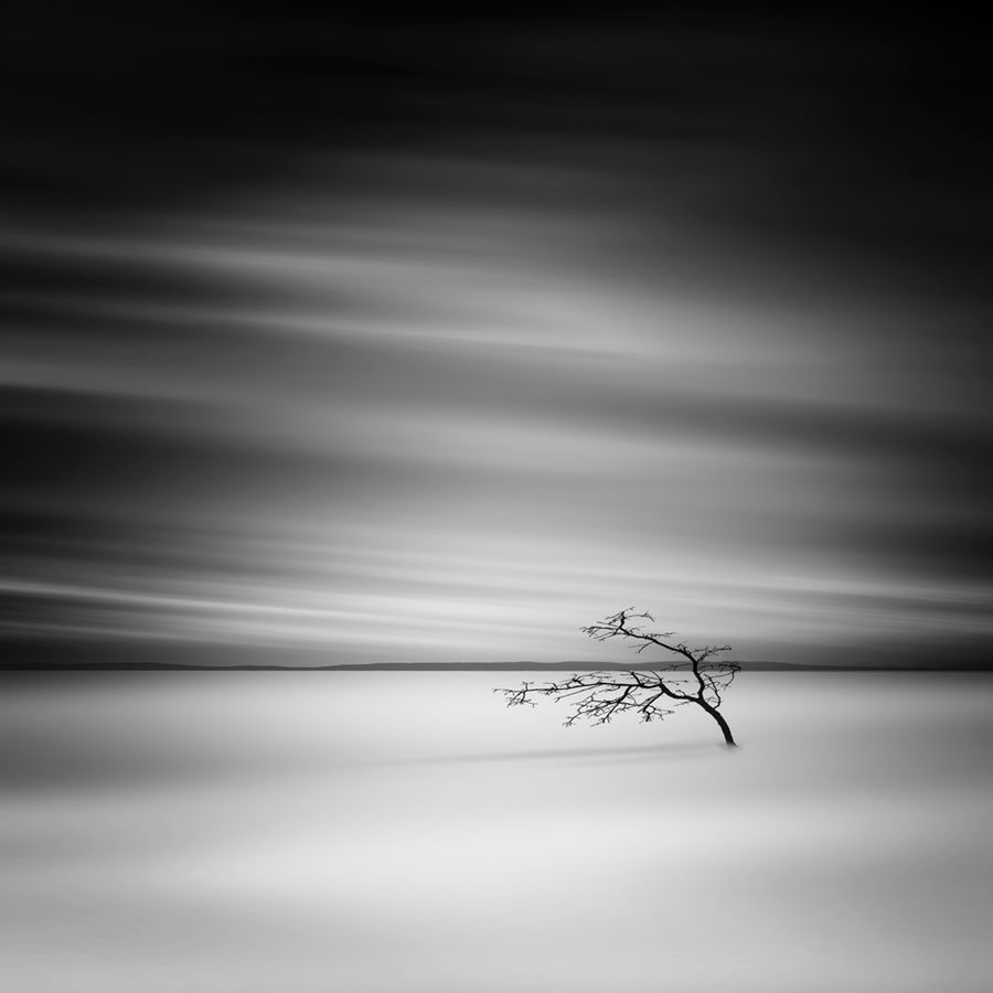 Polacy wśród zwycięzców prestiżowego International Photographer of the Year 2016 31