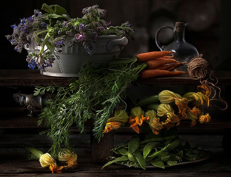 Znamy zwycięzców konkursu International Garden Photographer of the Year 2016 15