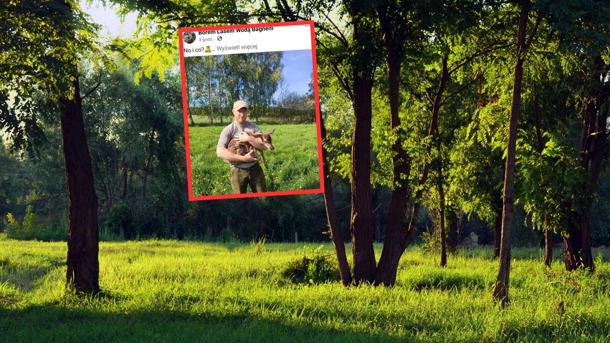 Leśnik aż się zagotował. Mężczyzna do leśniczówki przyniósł "uratowaną sarenkę" 