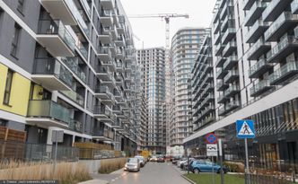 "Jesteśmy na szczycie cyklu". Ważny głos z NBP ws. rynku nieruchomości