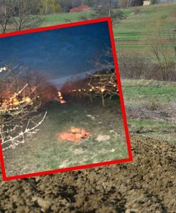 Poszła na pole i się rozpłakała. "Tragedia"