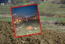 Poszła na pole i się rozpłakała. "Tragedia"