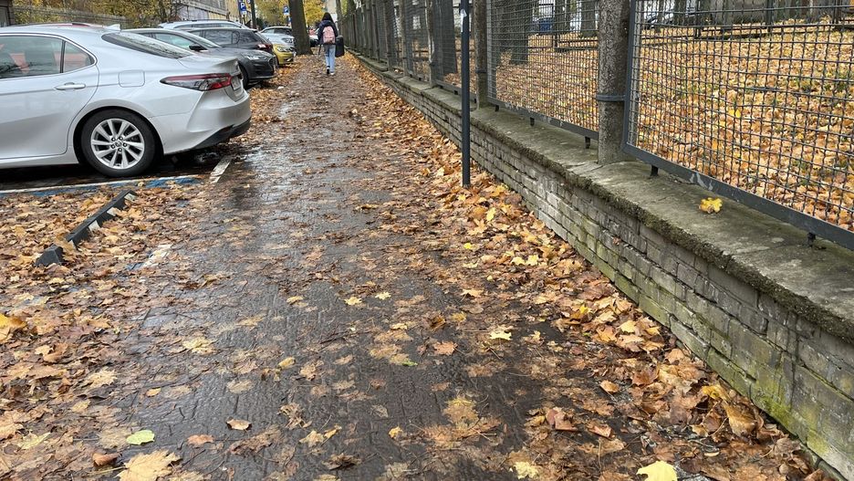 Liście na chodnikach w Łodzi