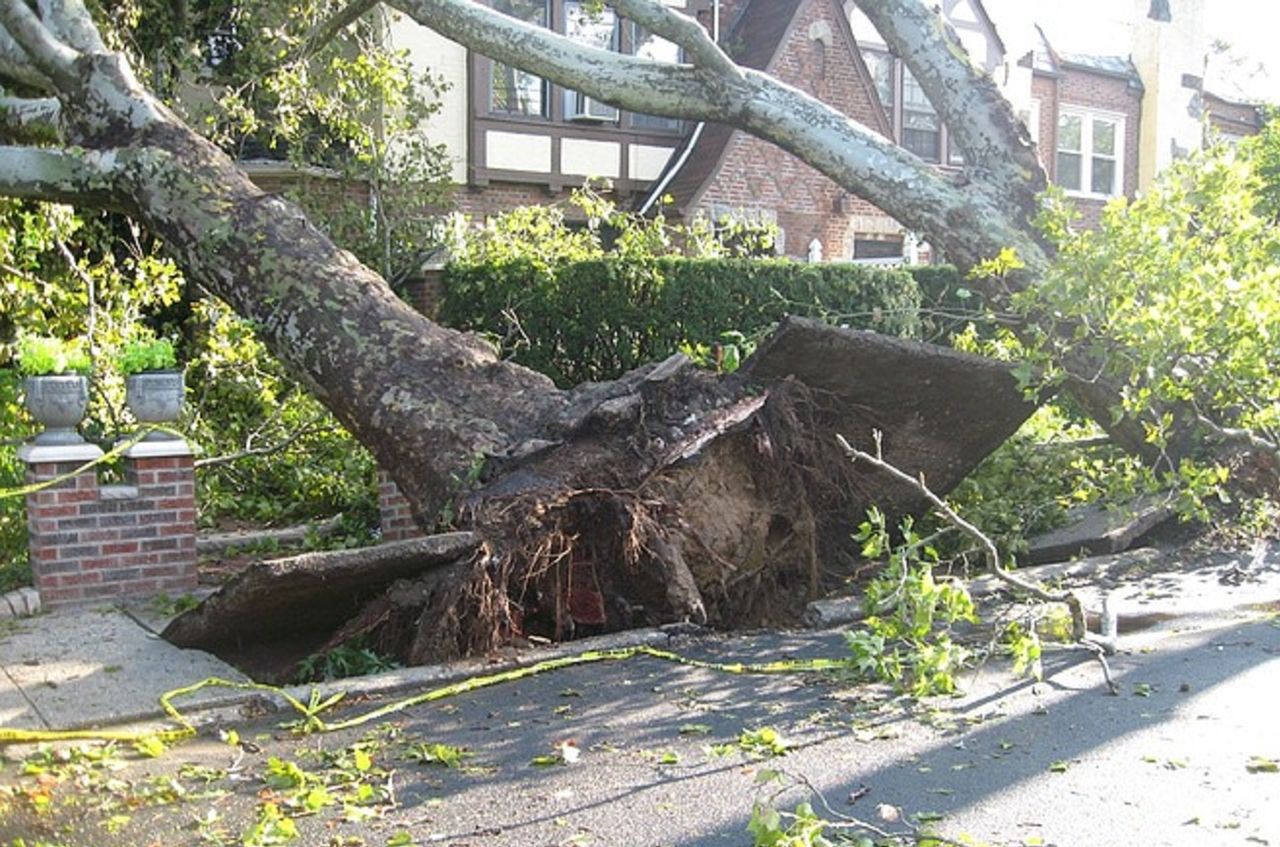 Tornado uproots a tree in Detroit suburb, killing toddler and injuring the mother