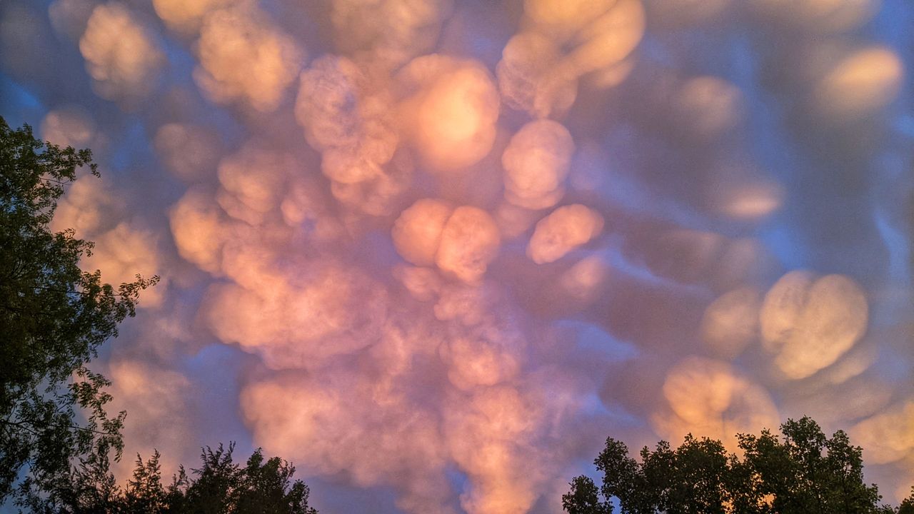 Wyglądają jak meduzy. Niesamowite zdjęcie chmur zapada w pamięć