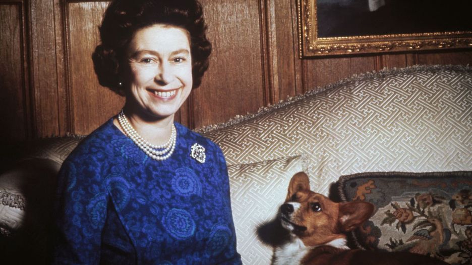 Królowa Elżbieta z corgi