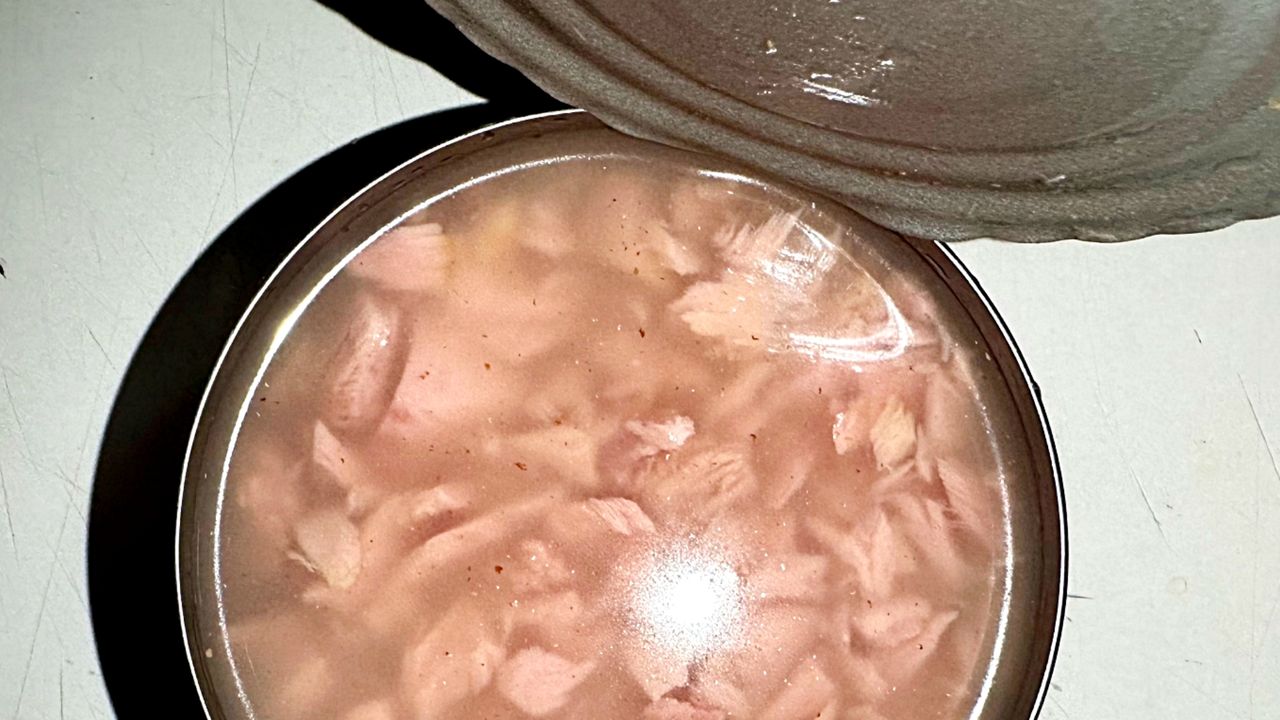 Oskarżany o rtęć i metale ciężkie. Jaka jest prawda o tuńczyku?