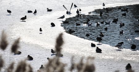 Warszawa. W Parku Szczęśliwickim dwuletnie dziecko wpadło do zbiornika wodnego