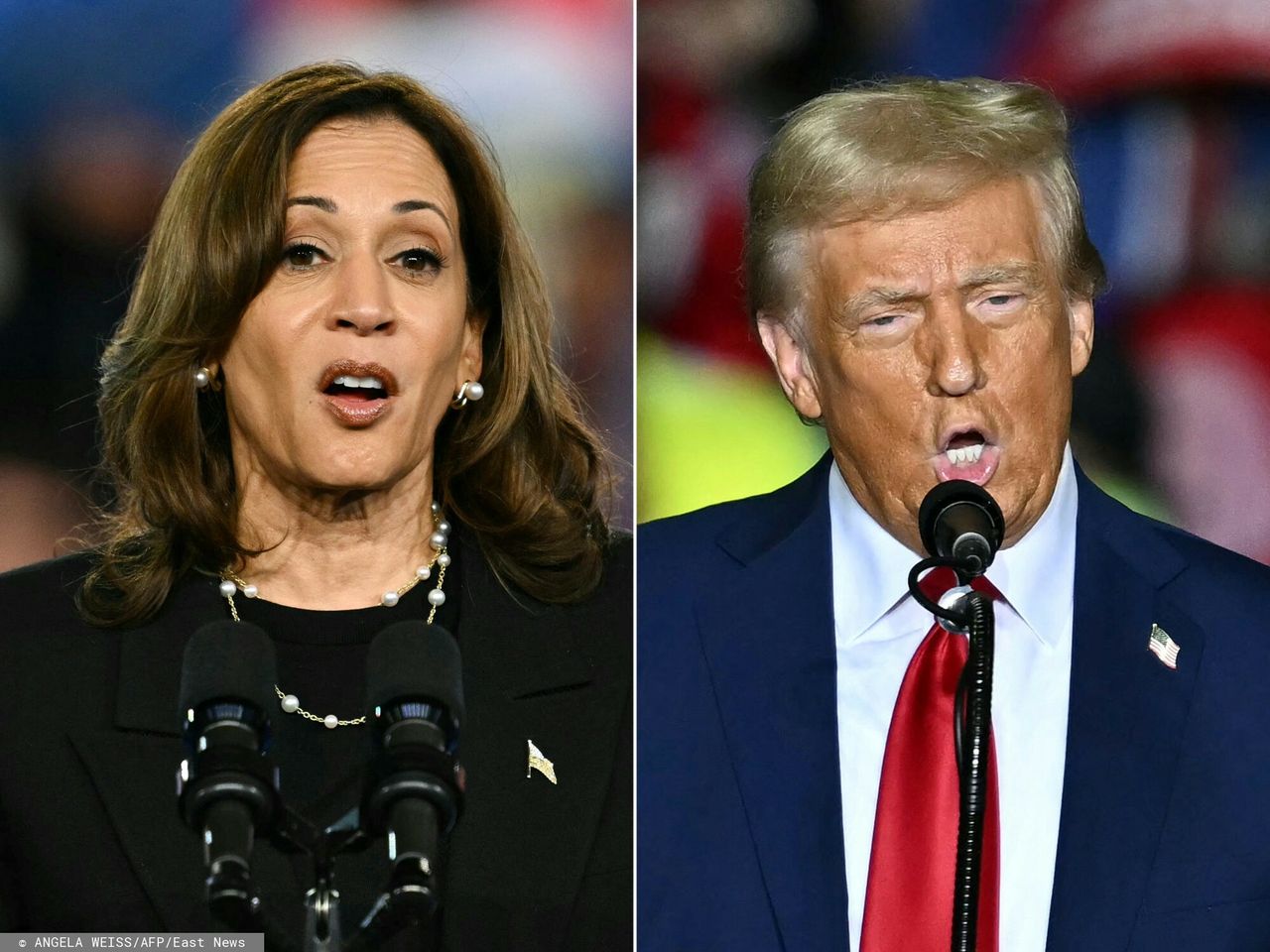 Election Nostradamus predicts Harris's triumph despite a tight race