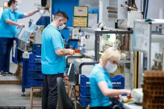 Rynek potrzebuje specjalistów. "Nie mamy polityki migracyjnej"