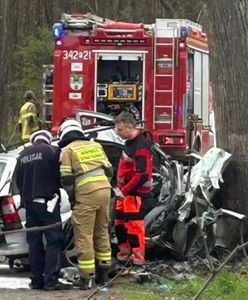 Śmiertelny wypadek w Zielonej Górze. Kobieta z potężną siłą uderzyła w drzewo. Zginęła na miejscu