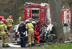 Śmiertelny wypadek w Zielonej Górze. Kobieta z potężną siłą uderzyła w drzewo. Zginęła na miejscu