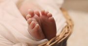 Wrocław: Urodziła trojaczki. Dumna mama opowiada o życiu z czwórką małych dzieci