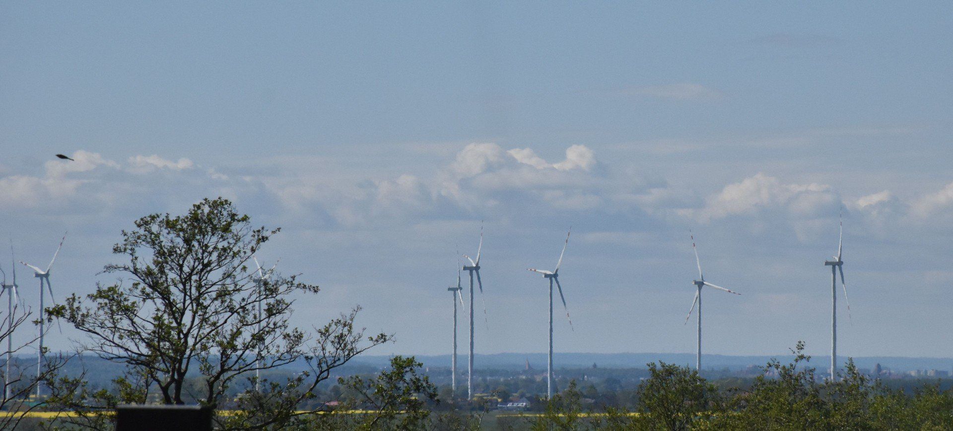 Istniejąca farma wiatrowa w gminie Miłoradz. Widok z Malborka.