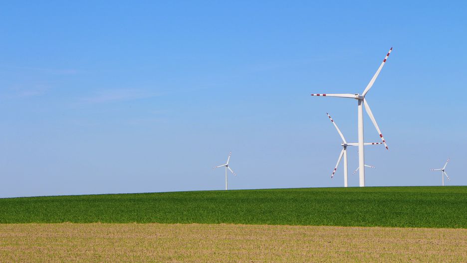 Energetyka wiatrowa w Polsce. Nowe farmy wiatrowe mogą przynieść nam korzyści