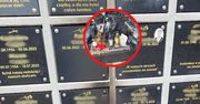 Taki widok na cmentarzu. Aż zrobili zdjęcie. "Bezwzględny zakaz"