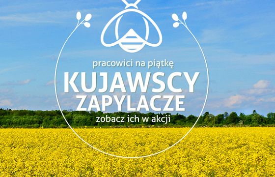 Kruszwica szuka agencji PR do obsługi akcji „Z Kujawskim pomagamy pszczołom”