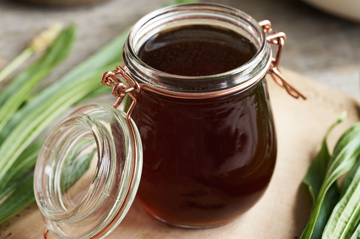 Black elderberry syrup cuts cold duration to four days