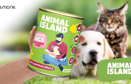 Up&amp;More odpowiedzialna za komunikację online Animal Island