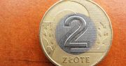 Ta moneta 2 zł jest warta krocie. Sprawdź, czy masz ją w portfelu