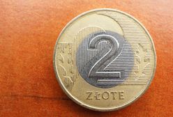 Ta moneta 2 zł jest warta krocie. Sprawdź, czy masz ją w portfelu