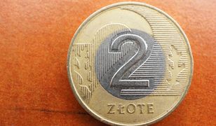 Ta moneta 2 zł jest warta krocie. Sprawdź, czy masz ją w portfelu