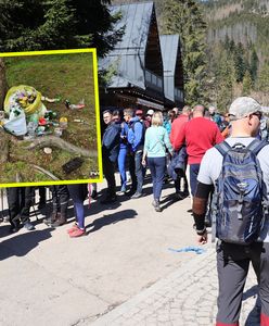 "Co trzeba mieć w głowie". Turyści w Zakopanem oburzeni