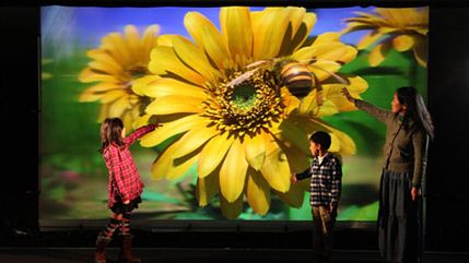 200 cali 3D bez okularów. Oczywiście z Japonii 1