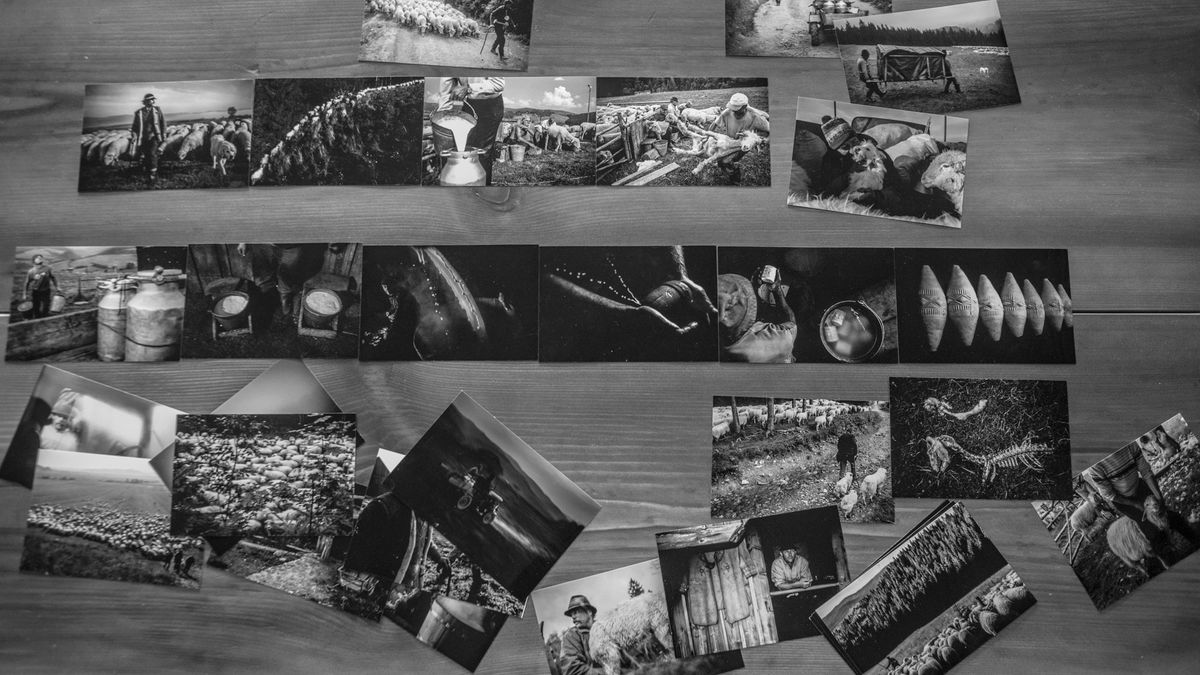 Fotoreportaż w praktyce część II – selekcja i edycja zdjęć [poradnik] 1