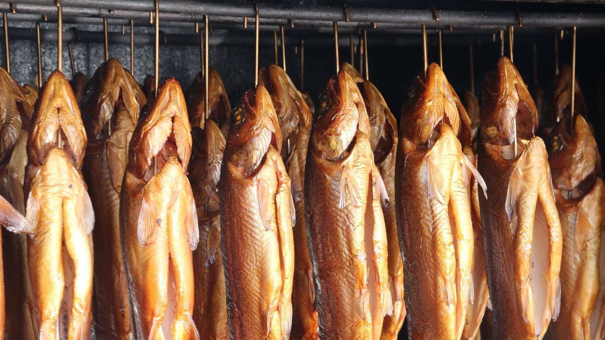 Dlaczego warto jeść pstrąga tęczowego? - zdjęcie poglądowe