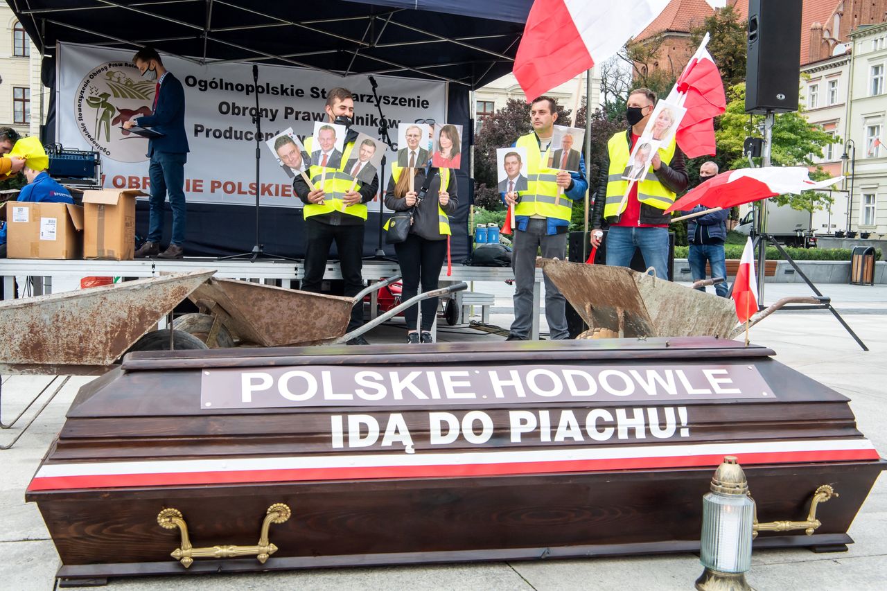 Protest rolników. Taczka z obornikiem w biurze poselskim Antoniego Macierewicza