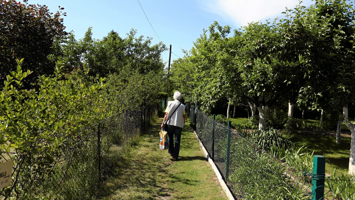 Rekordowe ceny działek ROD. Działkowcy boją się zmian przepisów