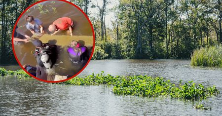 Myśleli, że to kłoda. Nastolatkowie z USA dokonali wyjątkowego odkrycia