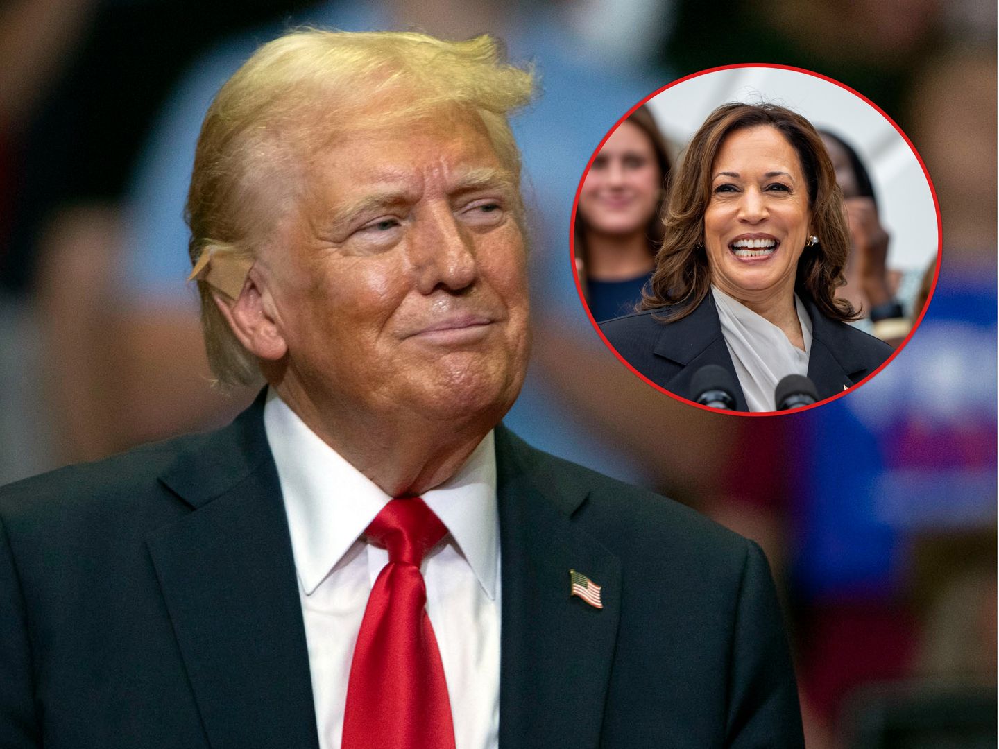 Trump kontra Harris. Nowe sondaże w Stanach Zjednoczonych