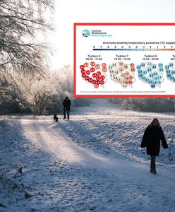 Pogoda na luty. Zwrot w trzeciej dekadzie miesiąca. Nastąpi powrót mrozów?