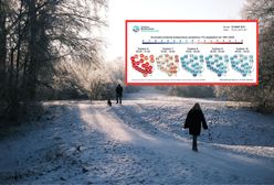 Pogoda na luty. Zwrot w trzeciej dekadzie miesiąca. Nastąpi powrót mrozów?