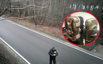 Wzmożone kontrole strażników. Zainstalowano kolejne fotopułapki