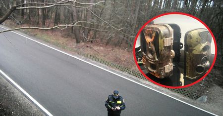 Wzmożone kontrole strażników. Zainstalowano kolejne fotopułapki