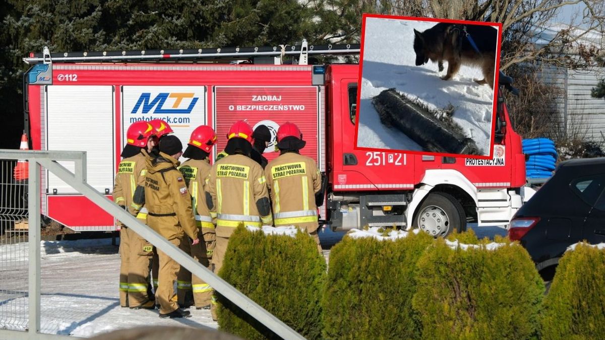 Rakieta Muska rozsypała się nad Polską. Znaleziono już trzy części