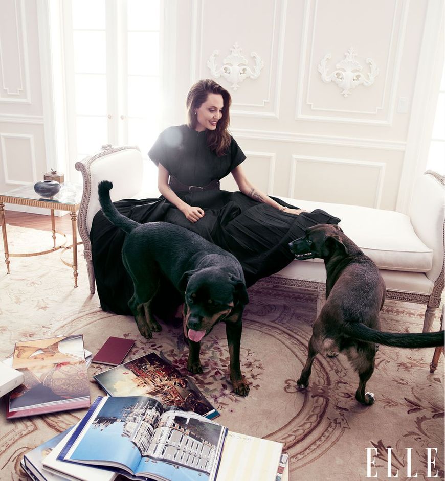 Angelina Jolie w ELLE