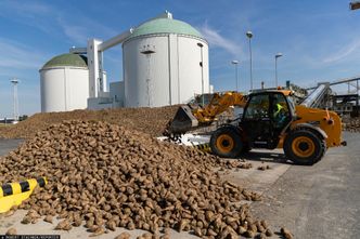 Bezcłowy import cukru. Producenci biją na alarm: na szali miejsca pracy