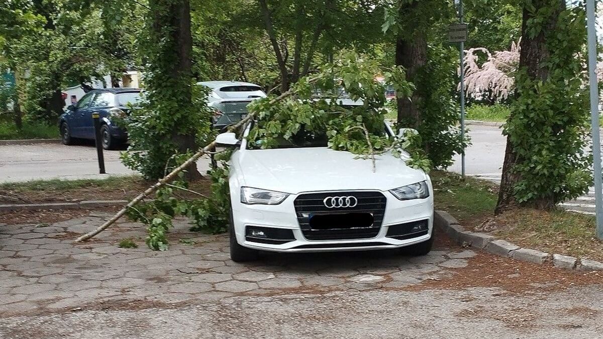 Gałąź spadła na zaparkowany samochód audi na ul. Leonarda w Lublinie
